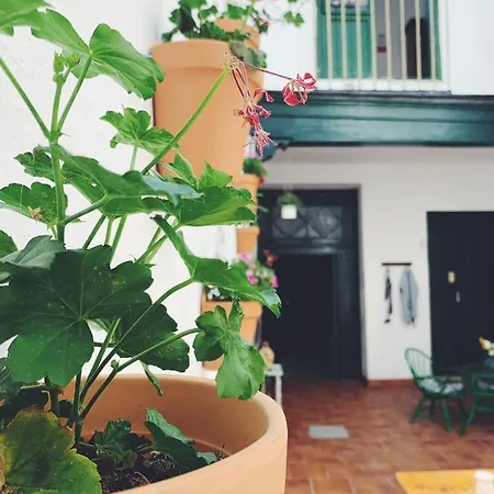 Maria Magdalena - 10 Homestay